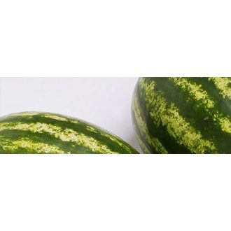 Görögdinnye Bostana F1 Syngenta - 1000 szem