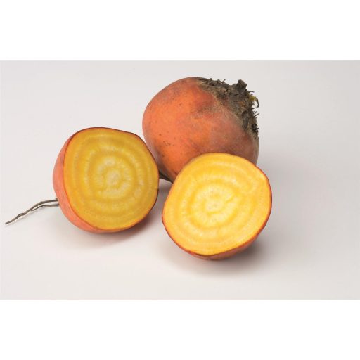 Cékla Boldor F1 Bejo - 10.000 szem