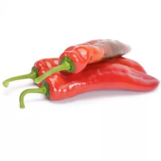   Paprika Palermo Rashford F1 (35-DR1337) RZ Dulce Italiano - 1000 szem