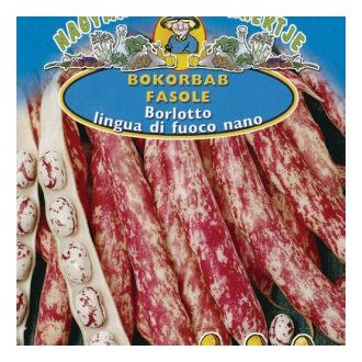 Bab Borlotto Linguo di Fuoco Nano Rédei - 50g