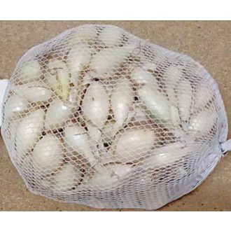 DUGHAGYMA FEHÉR - 200g