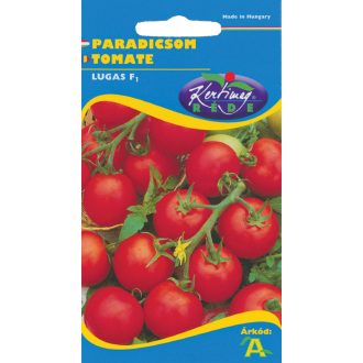 Paradicsom Lugas F1 Rédei#A - 20 szem