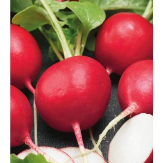 Retek Kvarta Semo - 100g
