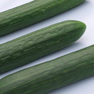 Uborka Elsie F1 Syngenta - 100 Szem
