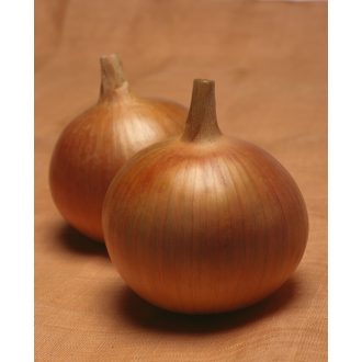 Vöröshagyma Bonus F1 Takii Seed - 250.000 szem