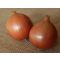 Vöröshagyma Borneo F1 Takii Seed - 250.000 szem