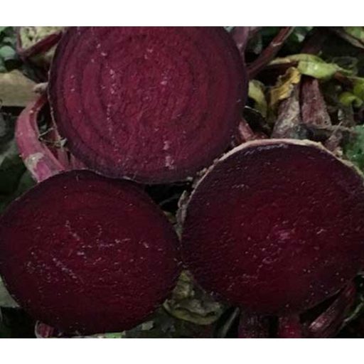 Cékla Blood F1 (MSX 4979 F1) ZFW - 50.000 Szem