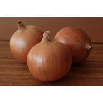 Vöröshagyma Galatea F1 Takii Seed - 250.000 szem