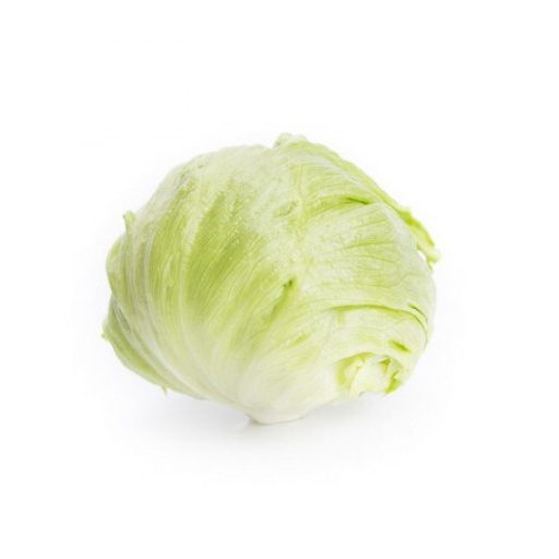 Saláta Asmara (45-227) Jégsaláta RZ - 1000 szem