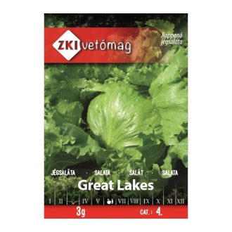 Saláta Great Lakes Jégsaláta ZKI  - 3g
