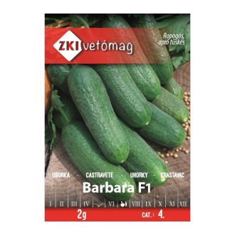 Uborka Barbara ZKI   - 2g