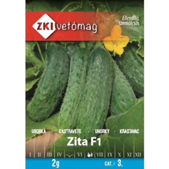 Uborka Zita F1 ZKI   - 2g