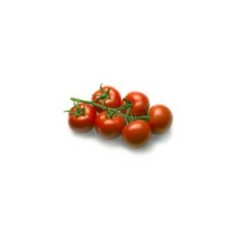 Paradicsom UGI 544-14 F1 Orosco - 100 szem