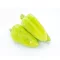 Paprika Topgear F1 (35-HG1424) RZ - 1000 szem