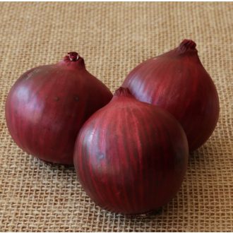 Vöröshagyma Rubilion F1 Lila Takii Seed - 250.000 szem