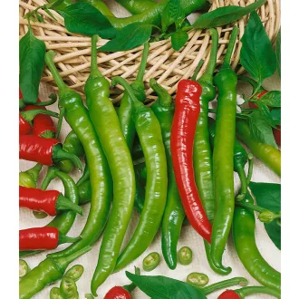 Paprika Palivec Semo - 500 szem