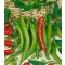 Paprika Palivec Semo - 500 szem