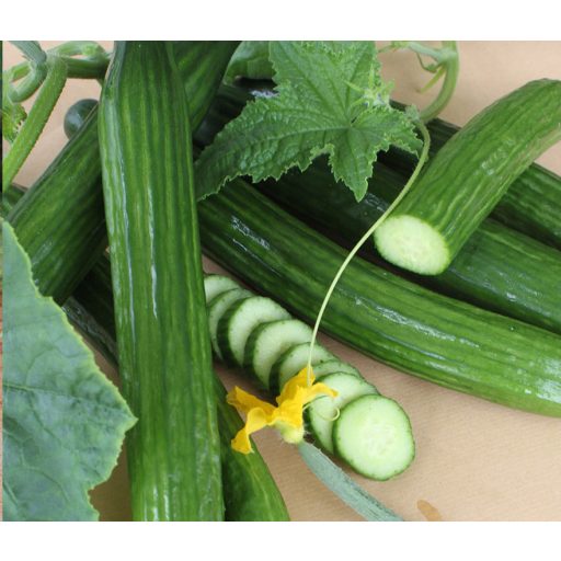 Uborka Kosara F1 ZFW - 100 szem