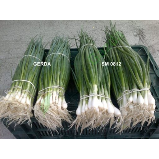 Kötözőhagyma Ranila Semo - 50g