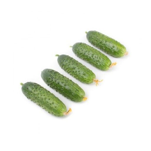 Uborka Triole F1 (12-309) RZ - 250 szem