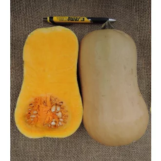 Sütőtök Laura Semo - 50g