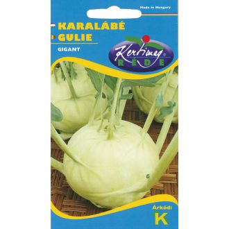 Karalábé Gigant Rédei  - 2g