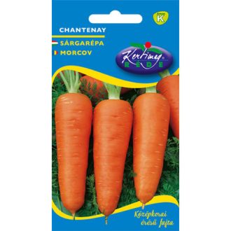 Sárgarépa Chanteney Rédei  - 3g