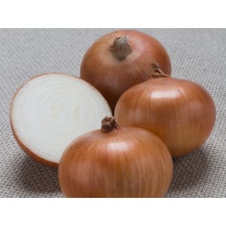   Vöröshagyma Thalassa (TTA-770) F1 Takii Seed - 250.000 szem