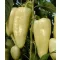 Paprika Frida F1 Orosco - 500 szem