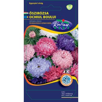 Őszirózsa Peonia Virágú Színkeverék Rédei  - 1g