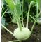 Karalábé Cembalo F1 Takii Seed - 2500 szem