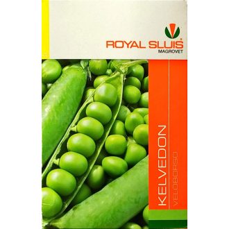 Borsó Kelvedon Royal#4 - 500g