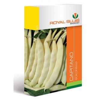 Bab Capitano Royal  - 50g