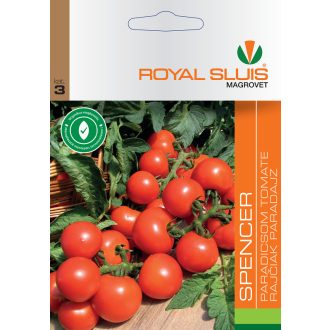 Paradicsom SPENCER ROYAL - 0.5g