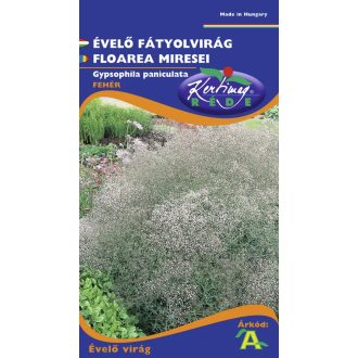 Évelő Fátyolvirág Fehér Rédei - 0.25g