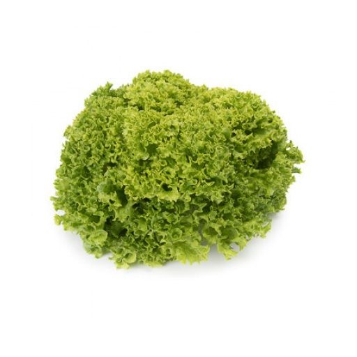 Saláta Limassol (85-142) Lollo Bionda RZ - 1000 szem