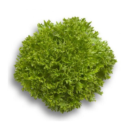 Saláta Expertise (79-27) RZ Salanova - 1000 szem