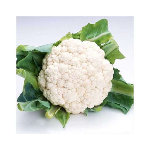 Karfiol Kastor F1 Sakata - 2500 szem