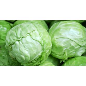 Fejeskáposzta Kajak F1 Sakata - 2500 szem