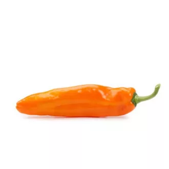   Paprika Palermo Obedius F1 (35-529) RZ Dulce Italiano - 1000 szem