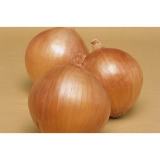 Vöröshagyma Boreas F1 Takii Seed - 250.000 szem