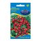 Paradicsom Bajaja Rédei  - 0,5gr