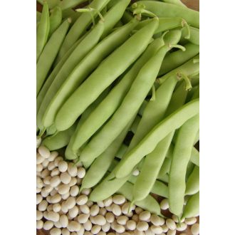 Bab Kovácsházi Gyöngy Rédei   - 50g