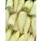 Paprika Multiflow F1 Enza - 500 szem