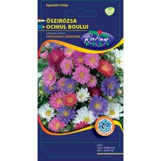 Őszirózsa Törpe Bokros Színkeverék Rédei  - 1g