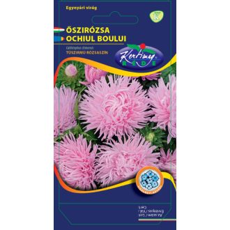 Őszirózsa Tű Szirmú Rózsaszín Rédei  - 1g