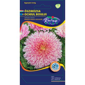 Őszirózsa Princess Virágú Rózsaszín Rédei  - 1g
