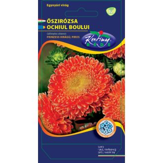 Őszirózsa Princess Virágú Piros Rédei  - 1g