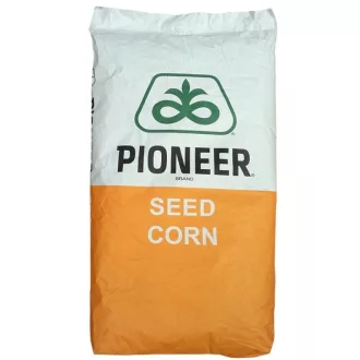 Kukorica Pioneer P99474 FAO 380 - 25.000 szem
