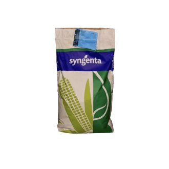 Kukorica Batanga SY FAO 330 - 50.000 Szem